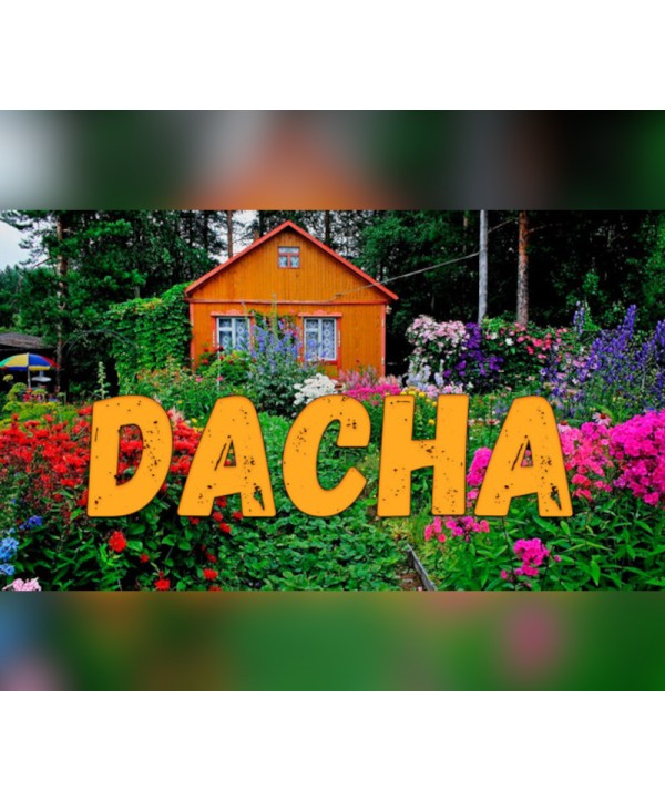 DACHA Steam Key GLOBAL